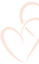 vector